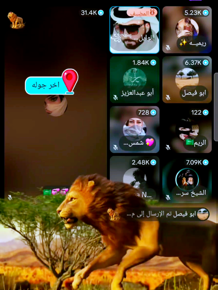 #كفو من الجميع# @ابو فيصل #@💕  بنت العز💞💞🇸🇦 #كفو #اكسبلور #مشاهدات 