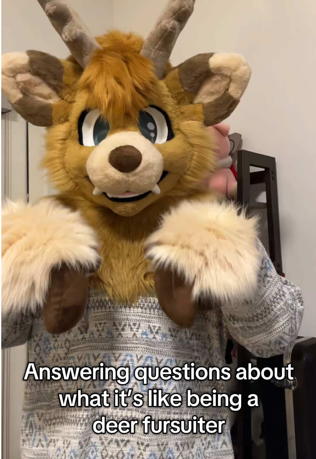 Staring at headlights and playing in traffic is our culture 😤 #furry #fursuit #furrytiktok #furries #furryfandom #fyp #fypシ #furryfyp #furriesoftiktok #fursuiter #deer #lgbt 
