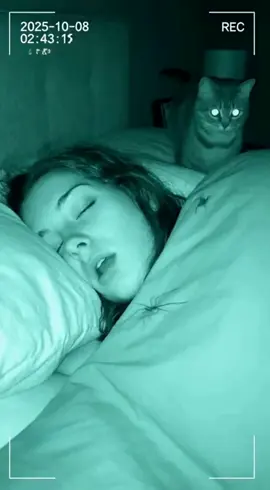 Il se passe de drôle de choses quand on dort la nuit... 😝 #araignée #spider #sora2 #ia 