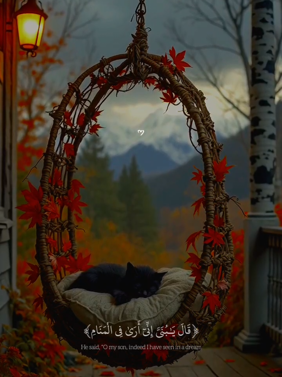 تلاوه جميله ل القارئ عبدالله احمد شعبان حفظه الله 🍁❤️‍🩹🎧😴 أرح سمعك وقلبك 😴🎧❤️‍🩹#عبدالله_احمد_شعبان  #قران_كريم  #quran_alkarim  #quran  #fyp 