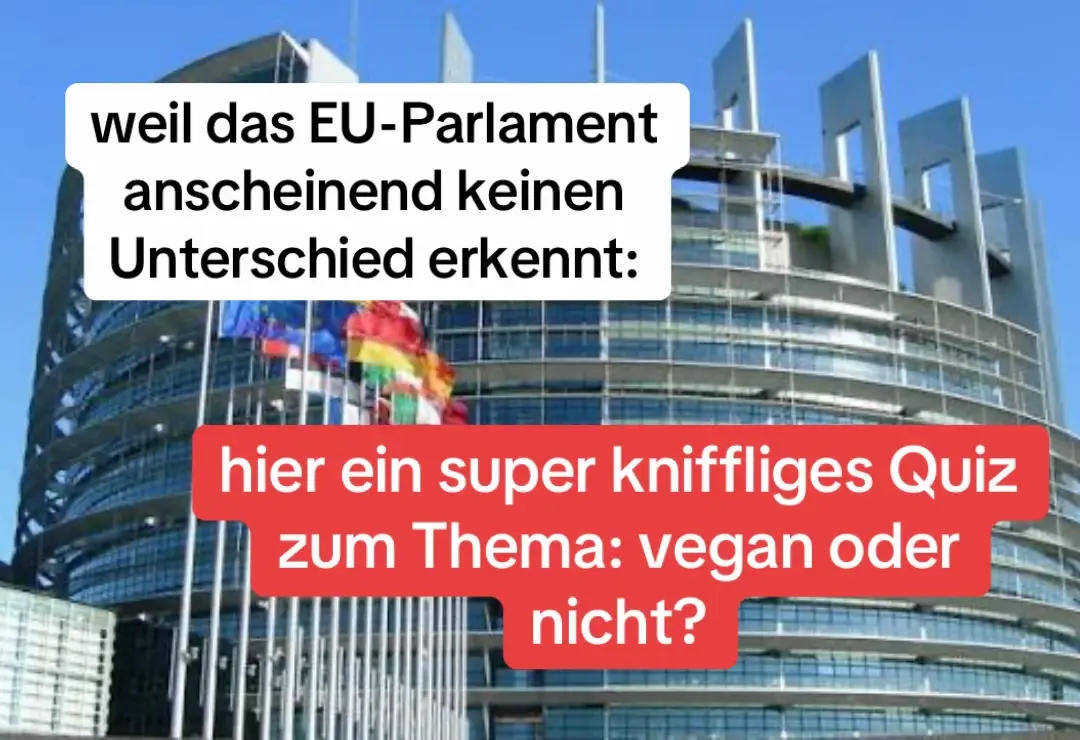 #vegan #fyp #euparlament #veganfood #veganeersatzprodukte 