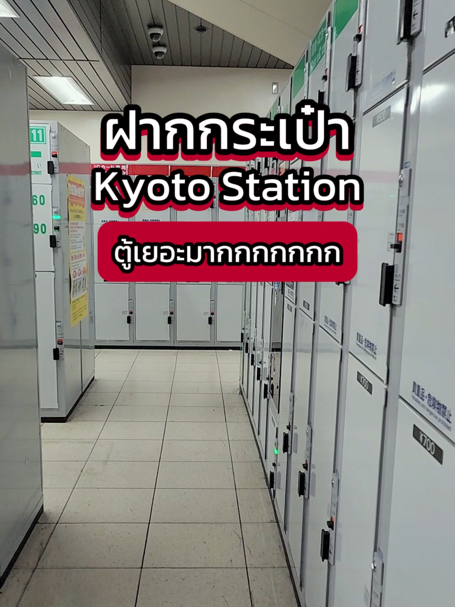 ตู้ล็อคเกอร์ใน kyoto มีเยอะมากกก ใครมาช่วงเช้าๆ แนะนำมาฝากกระเป๋าไว้ที่นี่เลย เดินจากหน้าสถานีขึ้นบันไดเลื่อนไปทางขวา 50 เมตร จะเจอห้องล็อกเกอร์ขนาดใหญ่ มีตู้เยอะมาก ใช้ IC Card แตะก็สะดวก หรือใครใช้ เงินสดก็ได้ สะดวกสุดๆ #Kyoto #เที่ยวญี่ปุ่น #japanแพลนเที่ยว #JapanTravelTips #coinlocker
