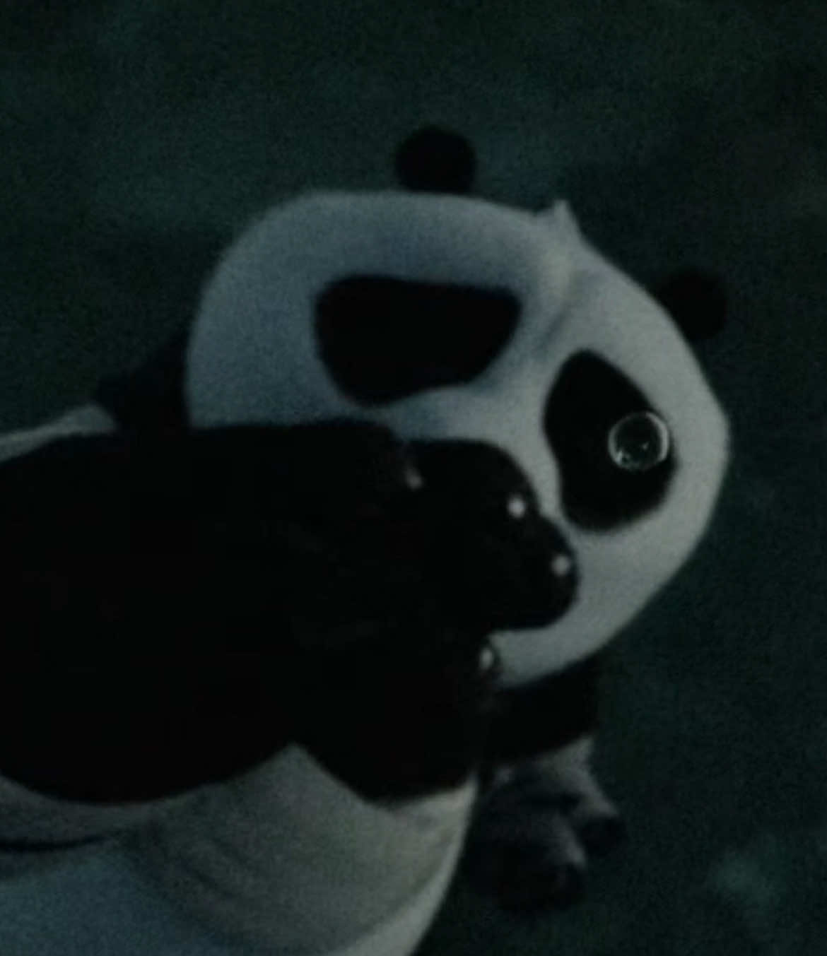 this is genuinely peak | #kungfupanda #hopecore #dreamworks #kungfupandaedit #fyp 