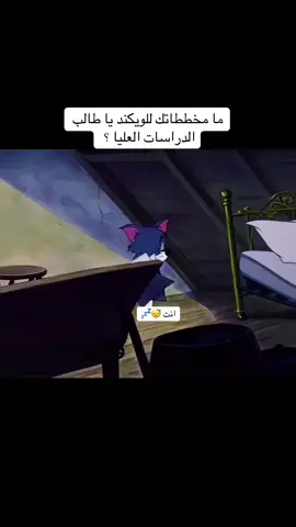 نحن معك خطوة بخطوة وصولا لمرحلة مناقشة رسالتك الماجستير والدكتوراه 💪🥰 #الاردن #السعودية #ماجستير #جامعة_الملك_فيصل #explore            @ميارو 🩵 Mayaro @سبايكي 