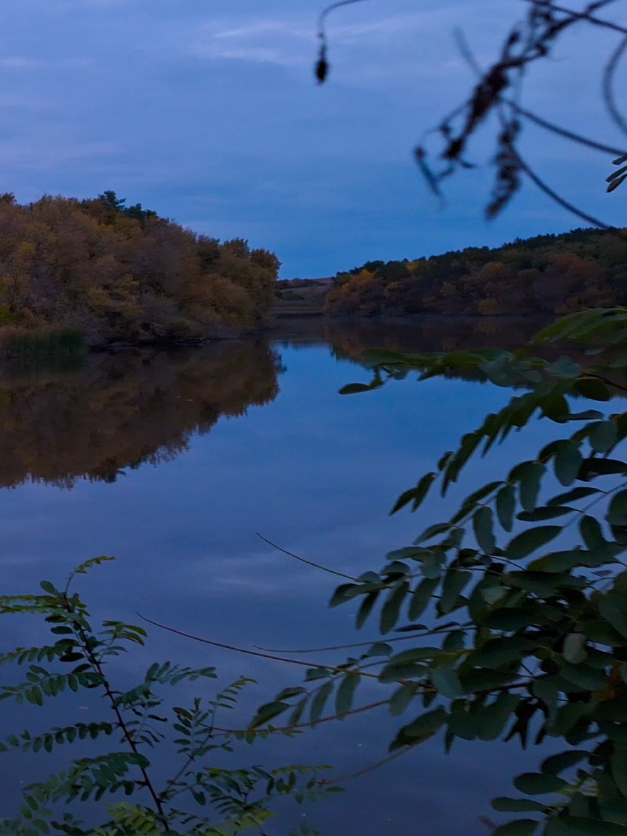 gorgeous place by the lake  #real #fypシ゚ #vibes #atmosphere #darkness 
