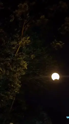 khud se jyada dusron ko ahmiyat di hai 🙂