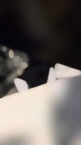 😎