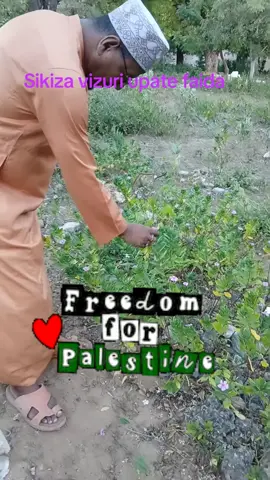 #VoiceEffects #@Swaleh Swaleh #@Hulka Mgeni Hulka #@nihan #@NuruAli517 #sikiliza vizuri upate faida