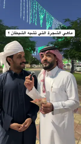ماهي هذه الشجرة ؟ #explore #fyp #fy #foryou #ترند 