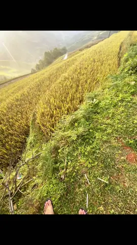 Cảnh miền núi đây sao #TikTokAwardsVN #xuhuongtiktok #canhdep #chilchil 