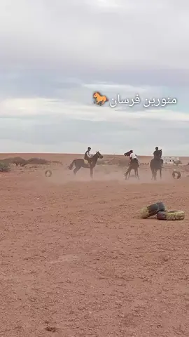 منورين فرسان  #خيل_وخياله🐎 #