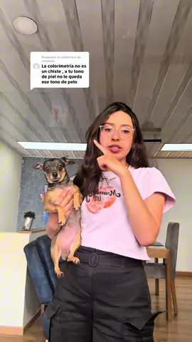 Respuesta a @UnaNube  yo soy la Estilista de este cobrizo y los comentarios se salieron un poco de control… Vamos a aclarar algunas cositas #fyp #videolargo #viral #humor #cobrizo 