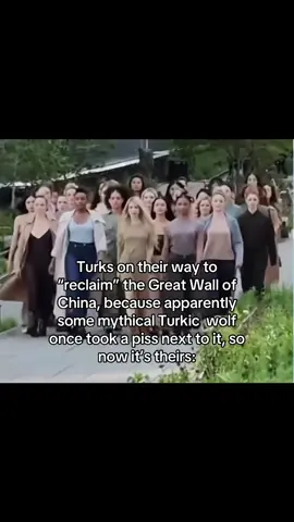 (Ts a joke)No cus I genuinely saw two videos of Turks and ughyurs wanting their hands on the Great Wall of China like bffr 🫩 #中国 #joke #fyp #real #turk 