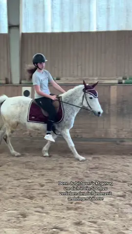 Hat jemand Lust sich mal zu treffen?||pusht bitte🥹💞||@belinda.showjumping2 @It’s.nott.andri @ostwind @♡| 𝚊𝚢𝚕𝚒𝚗 |♡ @Kathi&Ivy 💗 @Livia @𝐄𝐦𝐢𝐥𝐢𝐚🤍 ||#sport #fall #fyp #trend #push 