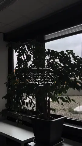 اللهُمّ في ليلة الجمعة اللهم إني أسألك خير الأيَّام وخَير ما أتت بِه، وأسألك راحةً في القلب، ومغفرة للذنب، وسِعةً في الرزق، وحياةً كما أتمنَّى.#tiktok #foryou #fyp 