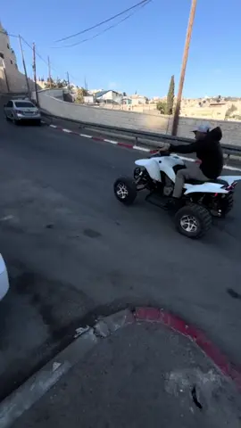 #תלאביב #الله_وتجار_السموم🔝👑 #💎🦍 #canamx3 #✡️ 