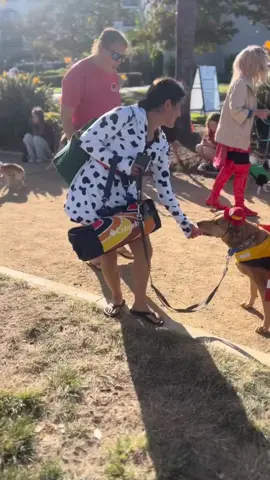 How many days until Halloween? Akira is ready for the costume parade! 🚒 Don't forget to tag us in your costume! 🎃 #WalkinPets #WheeliePets #PetWheelchair #DogWheelchair