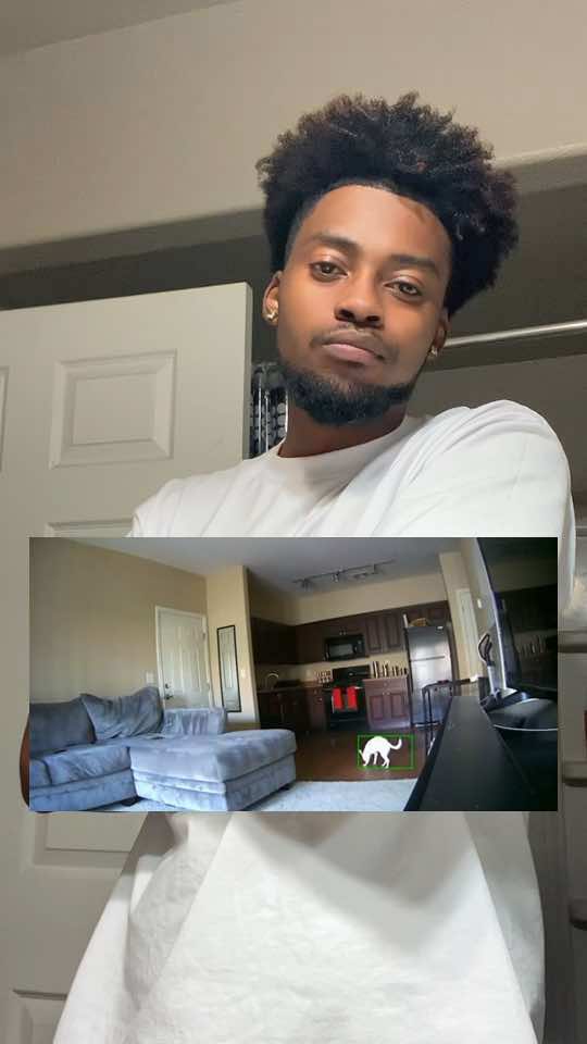 Yall better come get yall one of these 💪🏽 #fyp #tiktokshop #wyzecam #dogsoftiktok #PetsOfTikTok 