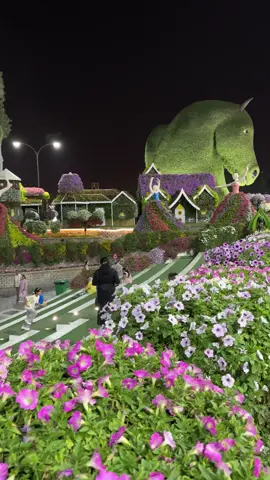 Miracle Garden #dubai #goodtodo 