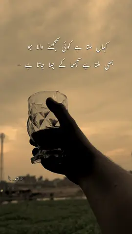 Bilkul 🥹 #whyahmii #fyp #poetry 