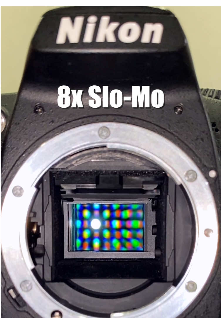 17-year-old camera still fires like new: Nikon D90 burst mode test.  #nikon #nikond90 #d90 #dslr #olddslr   