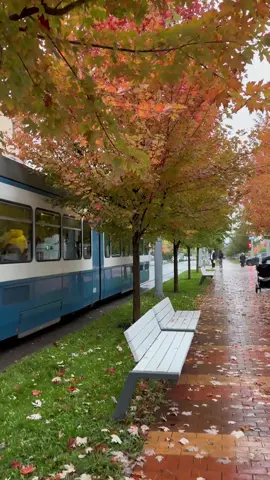 😊 просто осінь 🍂 ☔️🥰😍 #вінниця  #війнатриває  #осінь 