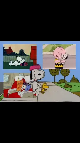 Snoopy edit- shortened version #snoopy #charliebrown #edit #peanuts #esnupi 
