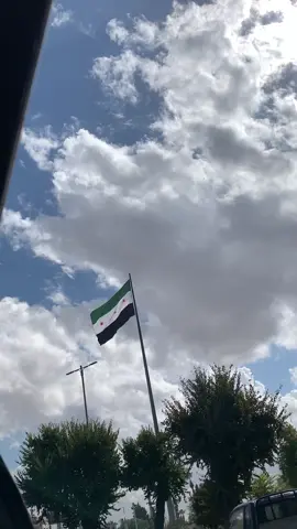 سوريتي🇸🇾🥹#سوريا #سوريا🇸🇾 #جيش#علم #اغاني 