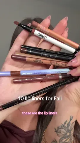 10 of the *perfect* lip liners for Fall lip combos 🤎🧸🍂 #LexisLipLibrary  @rimmellondonus @makeupforever @Kylie Cosmetics @Anastasia Beverly Hills @Kosas @meltcosmetics @makeupbymario @Victoria Beckham Beauty @rhode skin @maccosmetics #lipliner #fallmakeup #falllipliners #fallmakeupinspo 
