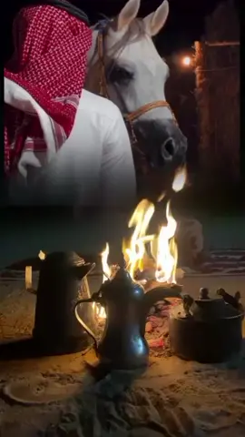 #المال_يرفع_نفوس_الرديين 