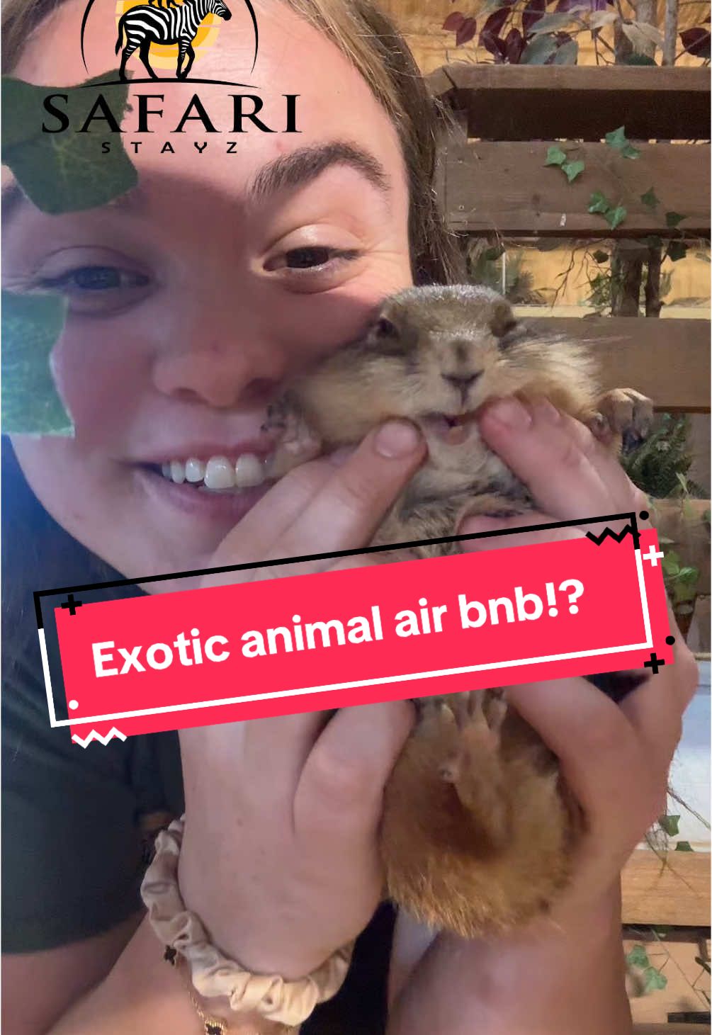 Check us out! @safaristayz you can also just come and do an encounter here! #animal #animals #encounters #exoticanimals #bnb #encounters #fun #kids 