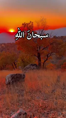 #الله #قورئان #اللَّهُمَّ_صَلّ_عَلَی_مُحَمدَِّ #_وَعَلَی_الِٓ_ #مُحَمدَّ 