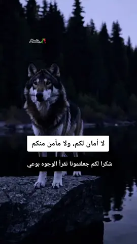 #_Wolf👑 #_segma👑🥀 #falstine_🇵🇸🇵🇸🇵🇸🇩🇿🇩🇿🇩🇿🔥🔥 #algerain #mødä_🥀🖤 