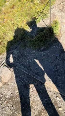 The best mountain adventures @murdaface 