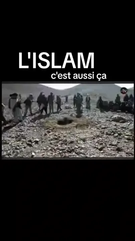 #islamicmedia #islamic #religion #islamvideo 