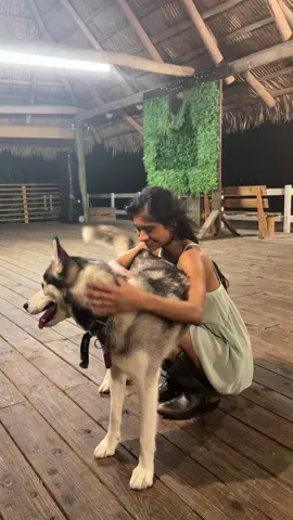 I love it when people let me love their dog 😍