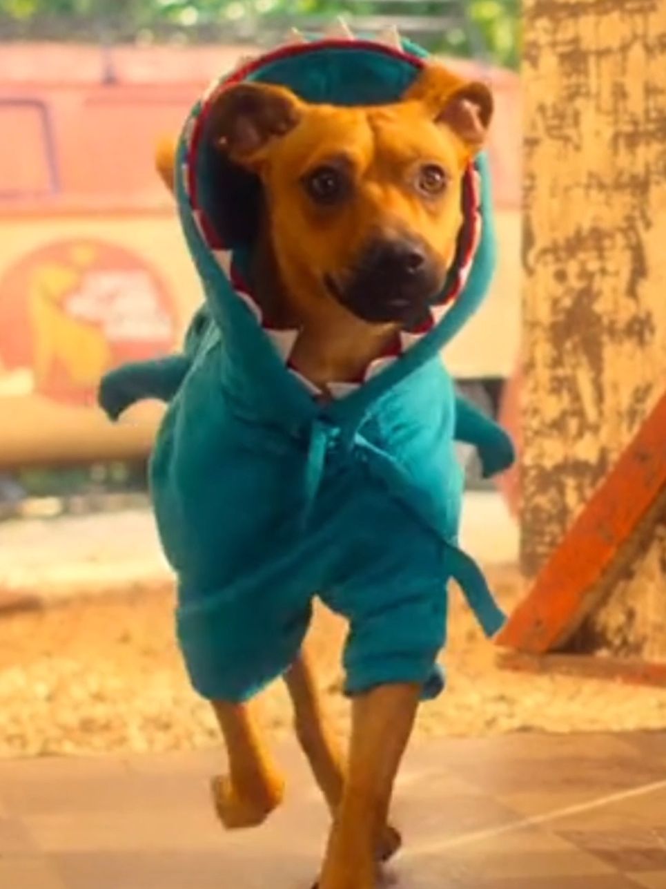 🦈🐕 #caramelo #filme #cena 
