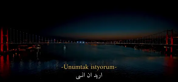 اريد ان انسى | Unumtak istyorum🤎،،،،، #اغاني_تركيه#حب#fyp#musician#viralllll