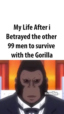 gorilla life