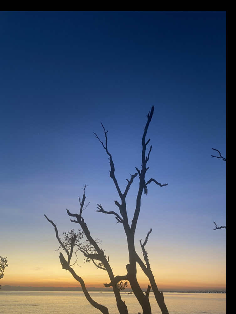 pagi itu🙌🏼 #sunrise #beachforestsitubondo 