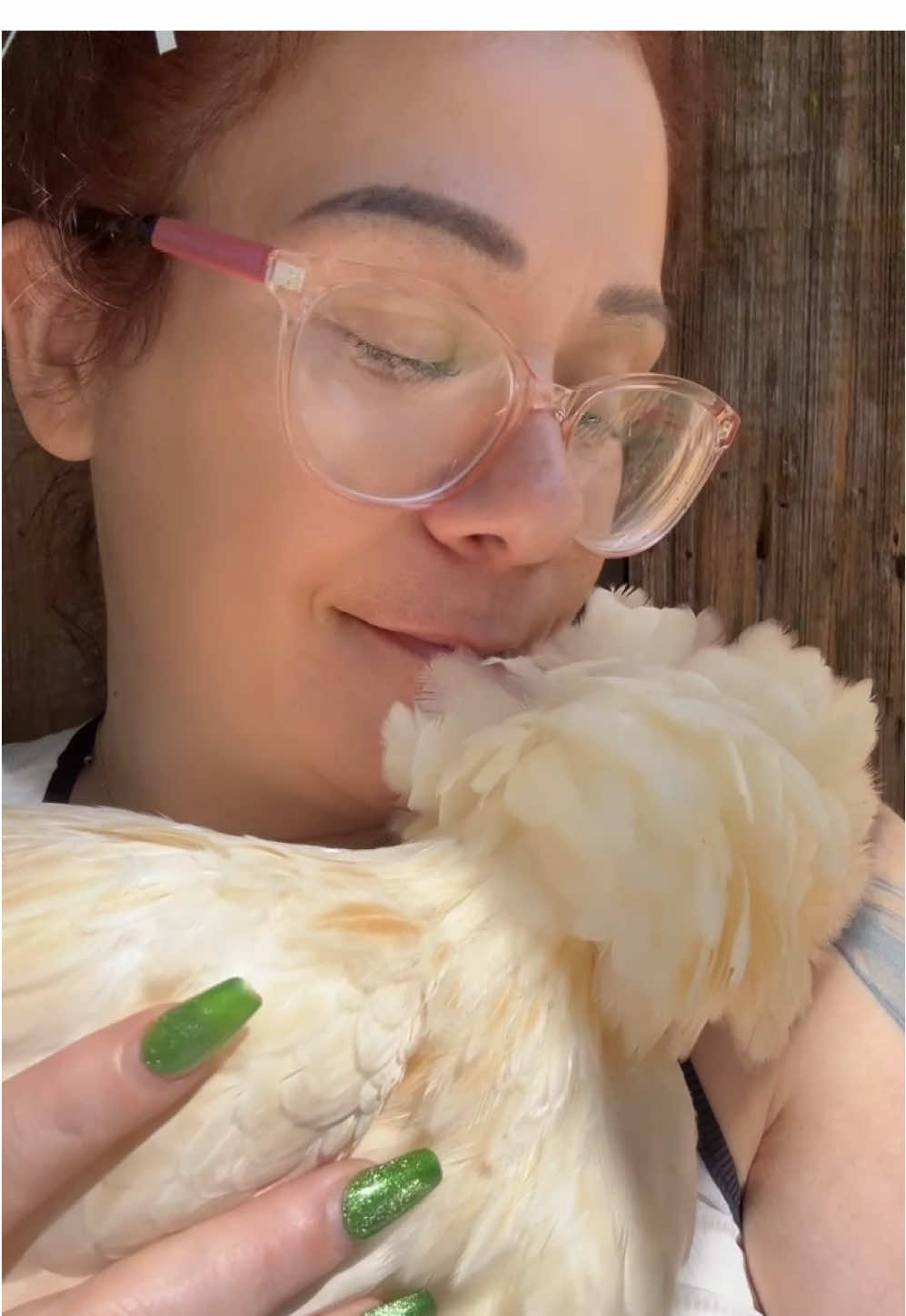 Bonita Snuggles 🥰  #polishchicken #backyardchickens 