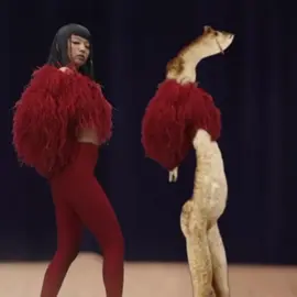 divas. |  #paratii     #fbyツ #foryoupage  #viraltiktok #creactorsearchinsight @TikTok @JISOO @LISA @ROSÉ @JENNIE 