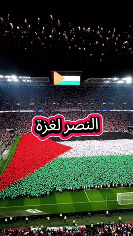 غزة تنتصر #غزة #الجزائر