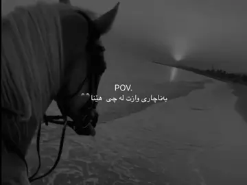 #naxi_tooo 