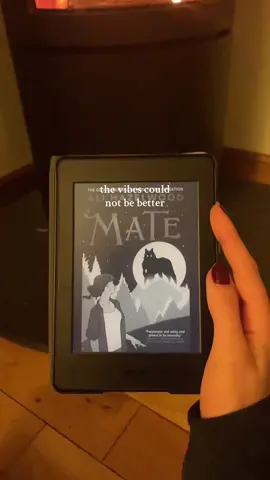LETS GO #BookTok #booktoker #alihazelwood #matealihazelwood #bridealihazelwood 