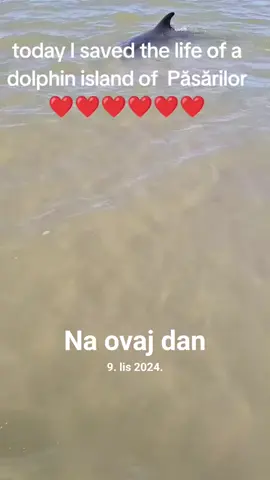 #naovajdan