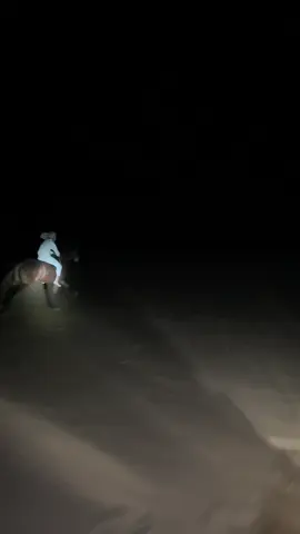 #اكسبلورexplore#الخيل_العربي_الاصيل🐎 بسم الله ع قلبه🔥👌🏻. 