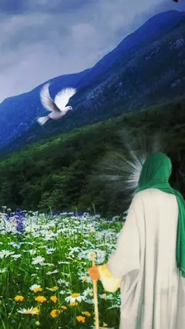 #ياصاحب_الزمان_أدركنا_ولاتتركنا #ياصاحب_الزمان #محضور_من_الاكسلبلوو #محضور💔 #محضوره_من_الاكسبلور_والمشاهدات 