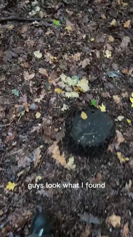 Glotoforia - is a young Ukrainian fashion label, founded just a few years ago. Its creators were deeply inspired by avant-garde brands like Rick Owens and Undercover. Though new, Glotoforia already stands out for its bold silhouettes, dark tonal palettes, and a fearless fusion of streetwear with high fashion. Every season, the brand experiments—with proportion, texture, and layering—pushing conventional boundaries while rooted in an artistic, edgy sensibility. Its journey is just beginning, but Glotoforia is crafting its own voice in the global fashion story. #aesthetic #forest #nature #fashion #fyp 