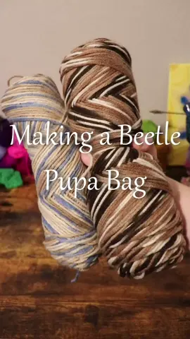 been wanting to crochet a new bag for a while and came up with this cute idea. think my favorite part is the eyes. #crocheting #bugs #yarnart #crochetersoftiktok #craftingtiktok 